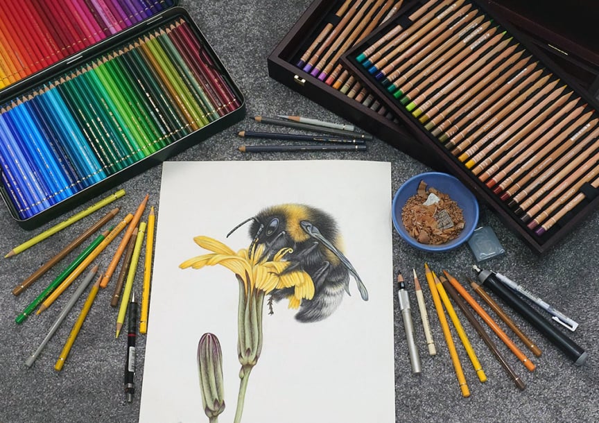 A selection of the tools I use to create my Artwork